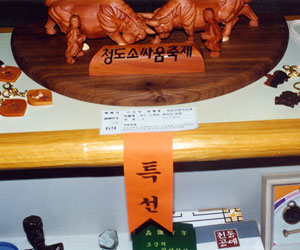 청도소싸움캐릭터