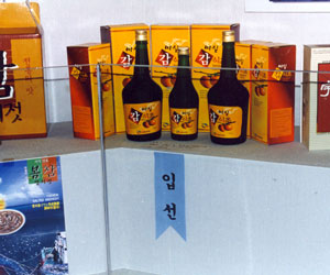 마실감초