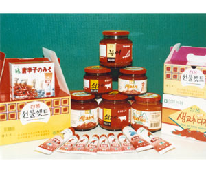 생고추장 세트