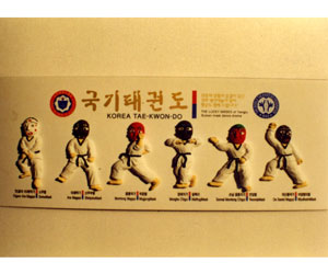 국기 태권도 - 탈