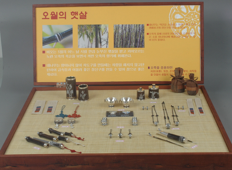 오월의 햇살