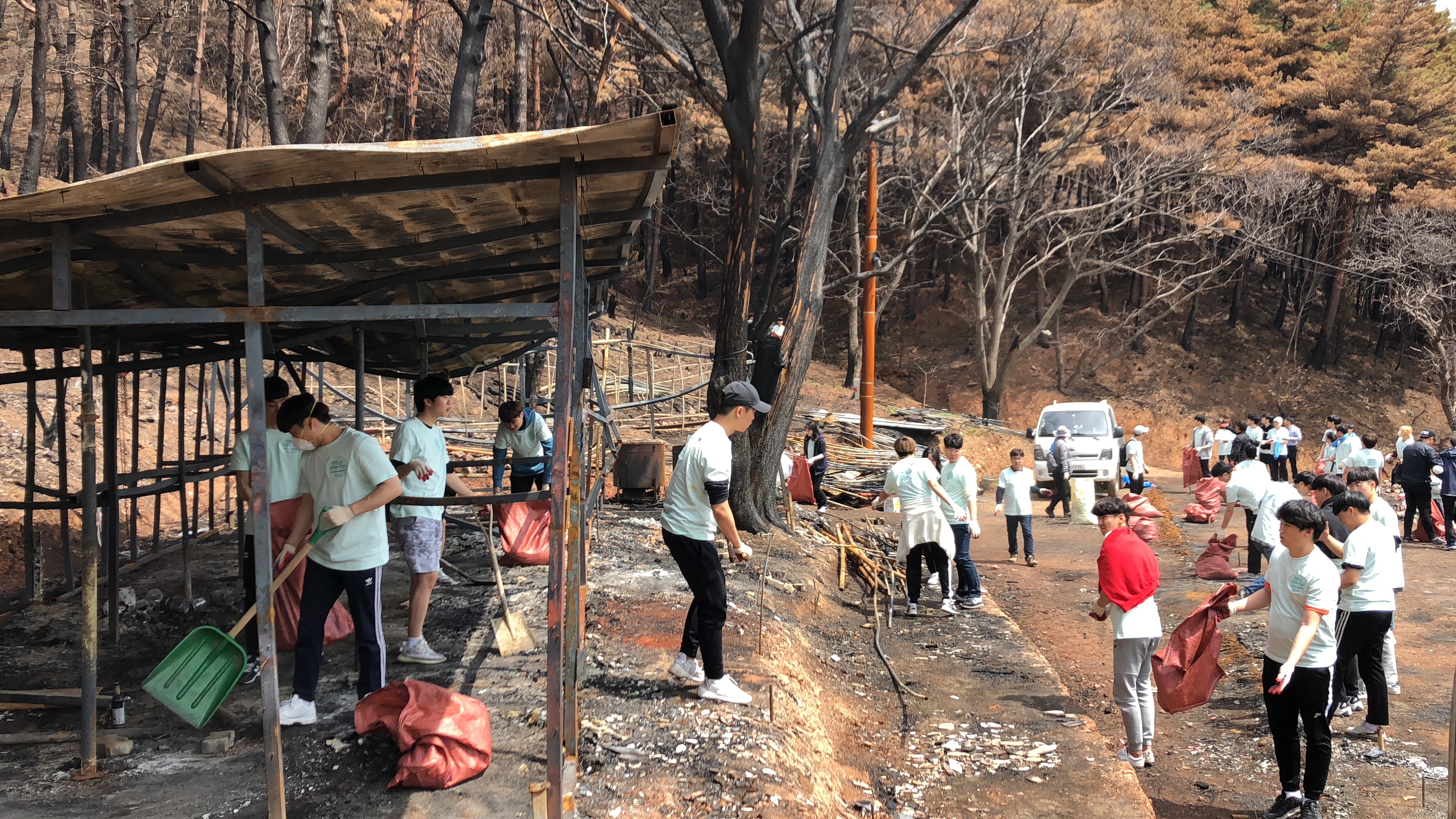 산불피해지역을 청소하는 자원봉사자들3