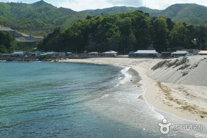 신남해변 신남해변