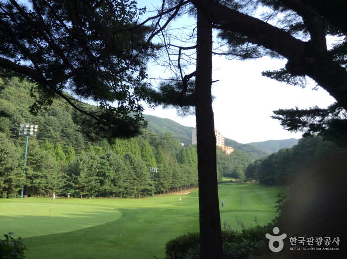 Yangji Pine Golf Club