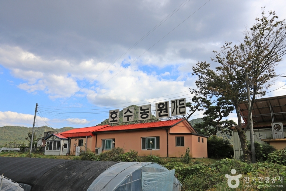 湖水农园
