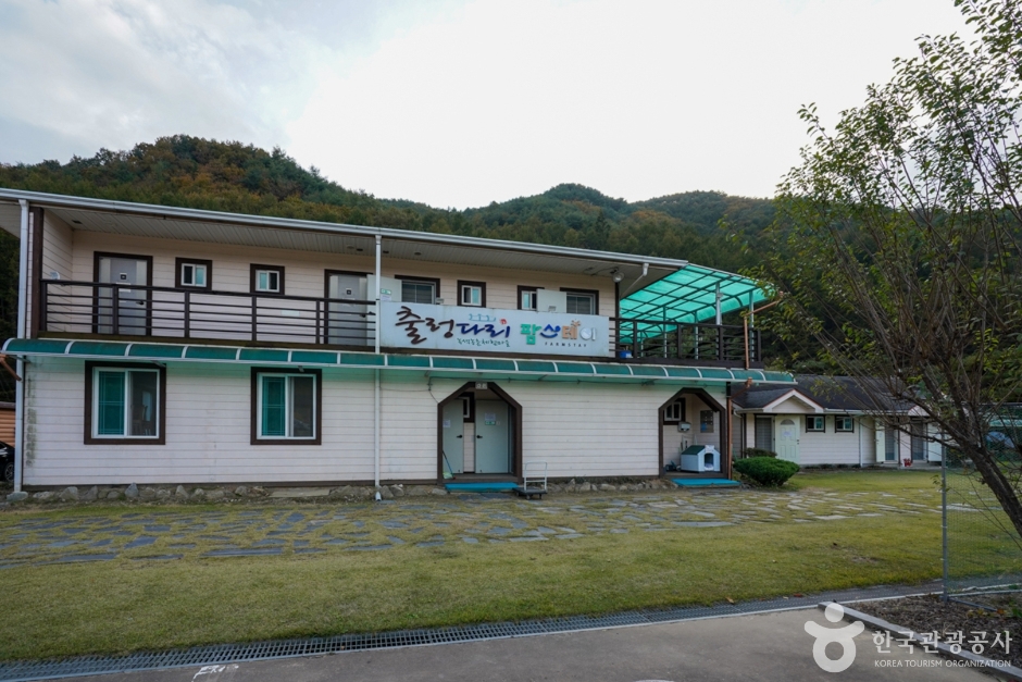 醴泉吊桥村