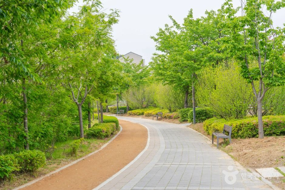 马中公园