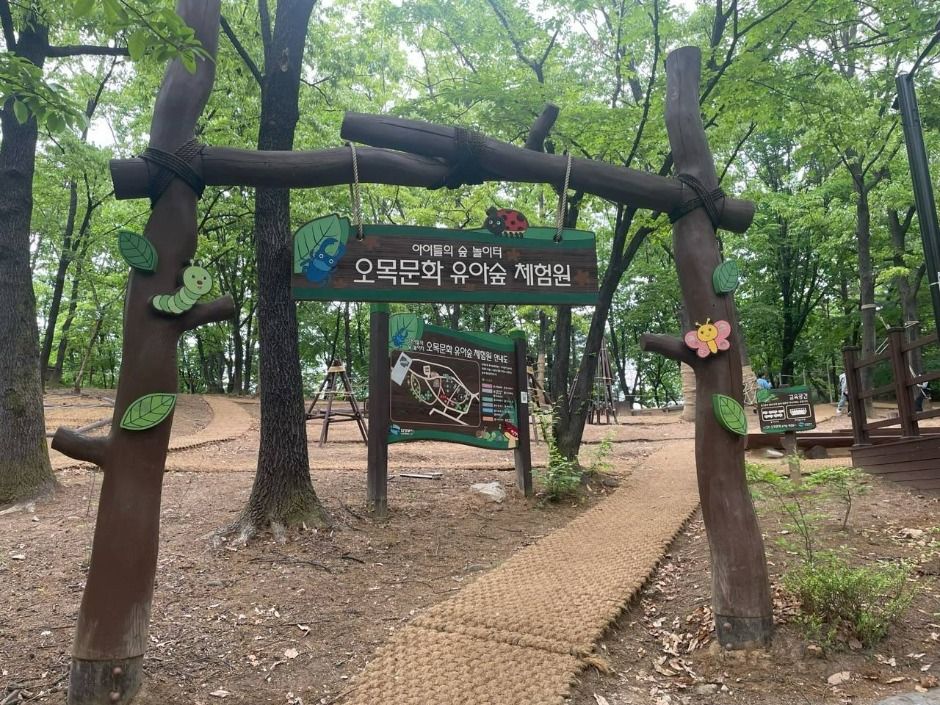 梧木文化 幼児の森体験園