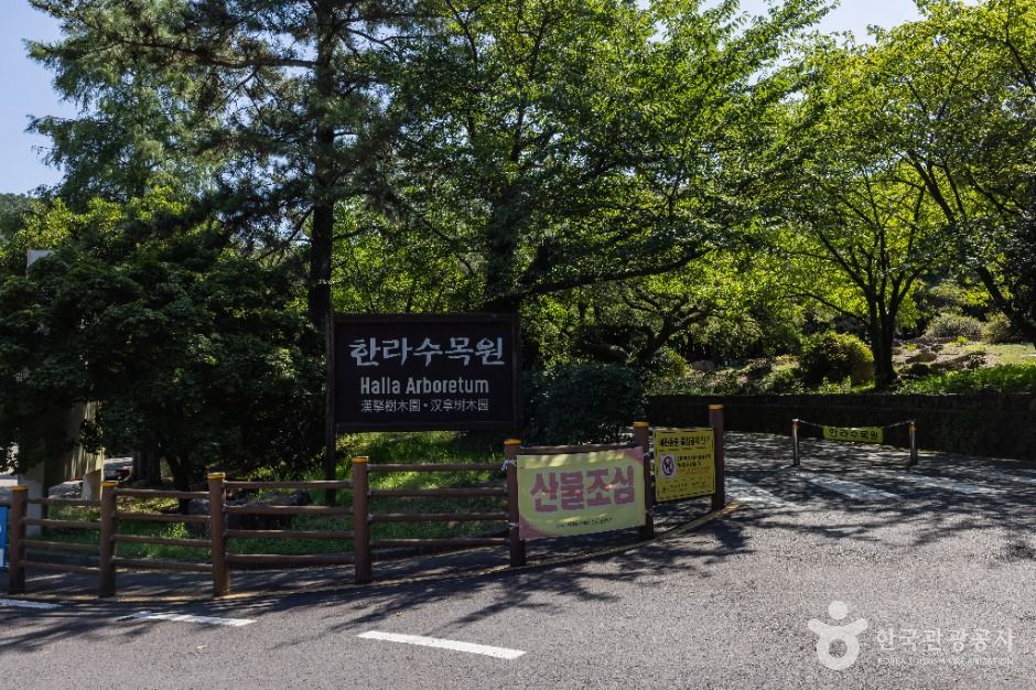 漢拏樹木園