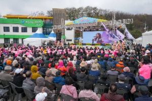 2025 청춘양구 펀치볼 시래기사과축제 8