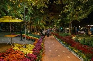 2025 유성국화축제 4