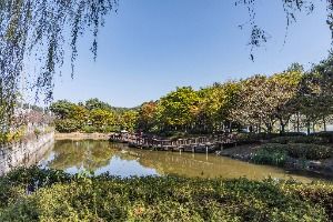 서울_궁동저수지 생태공원 (10)