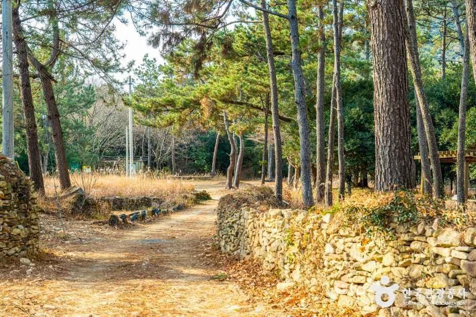 고산 윤선도 문학체험공원