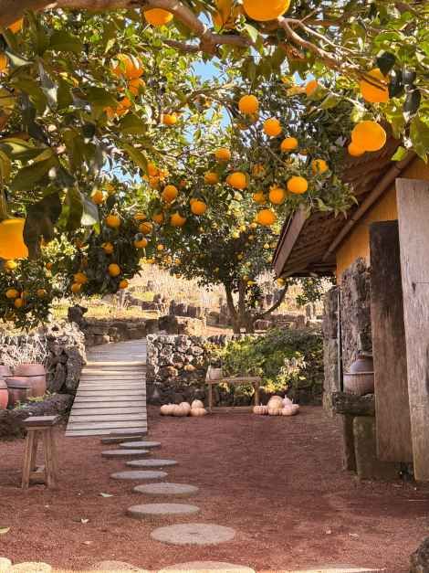 제주_숨도 (1).JPG