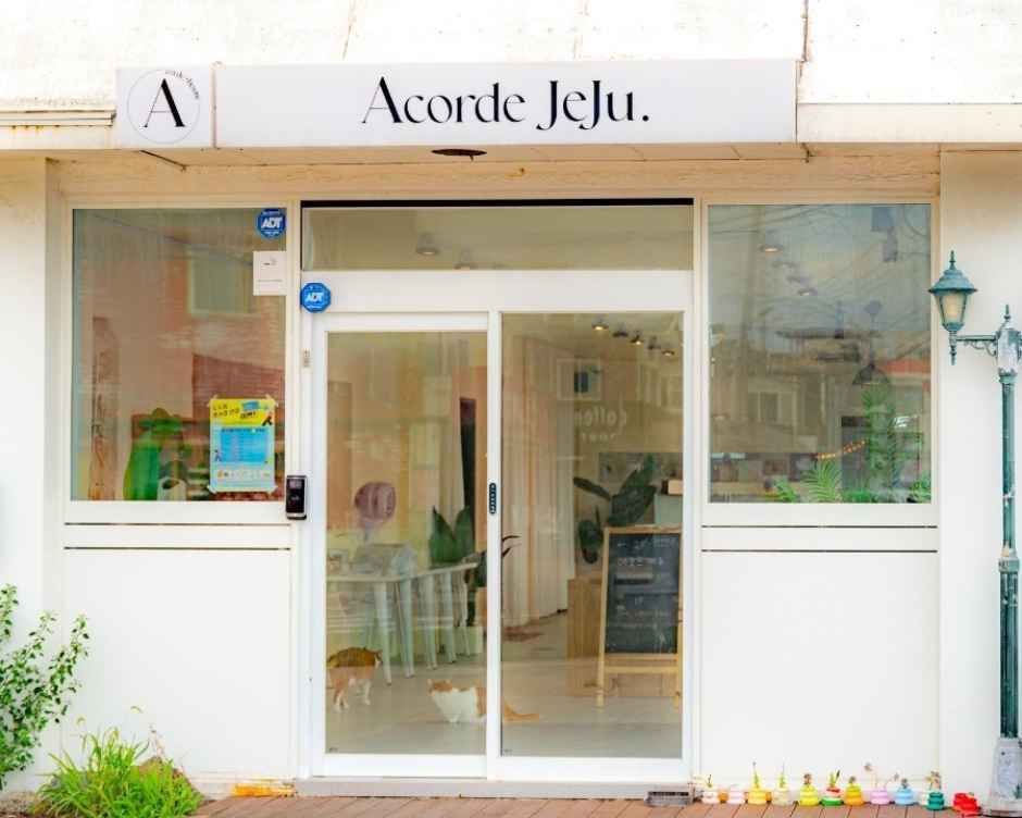 [事后免税店]Accord Jeju