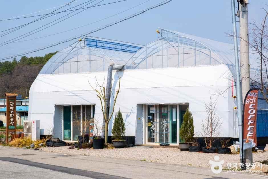 담양커피농장