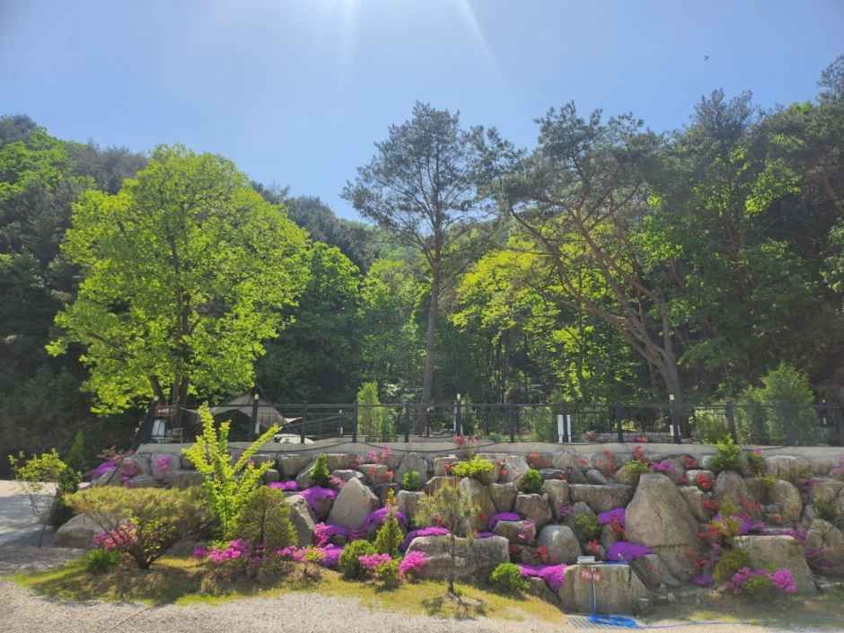 산정호수돌고래캠핑장