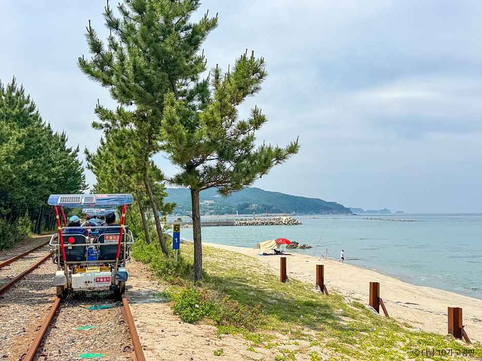 삼척 해양레일바이크 방문 전 확인할 위치와 여행 동선