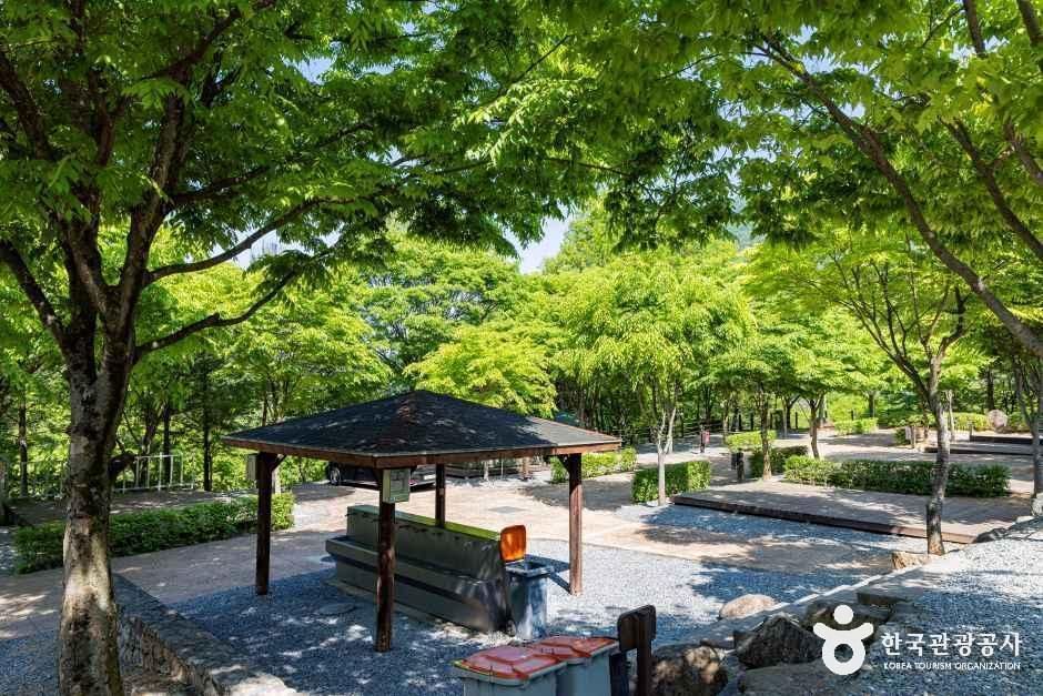천동관광지