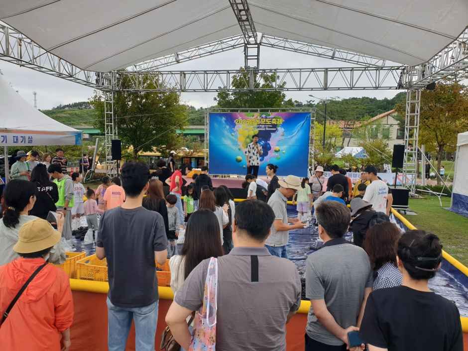 영동포도축제 현장 4