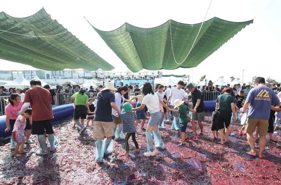 화성송산포도축제 사진 6