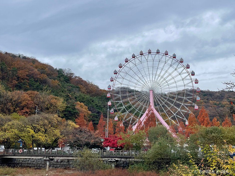 금오랜드 놀이동산