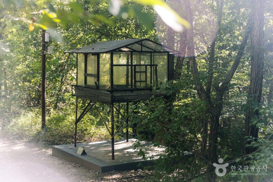삼성산산림욕장 8