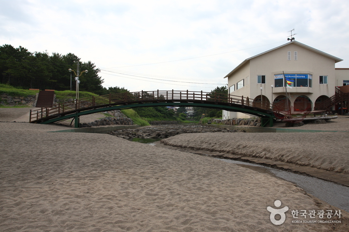 이호 테우해변 이호 테우해변