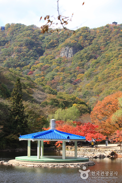 우화정 우화정