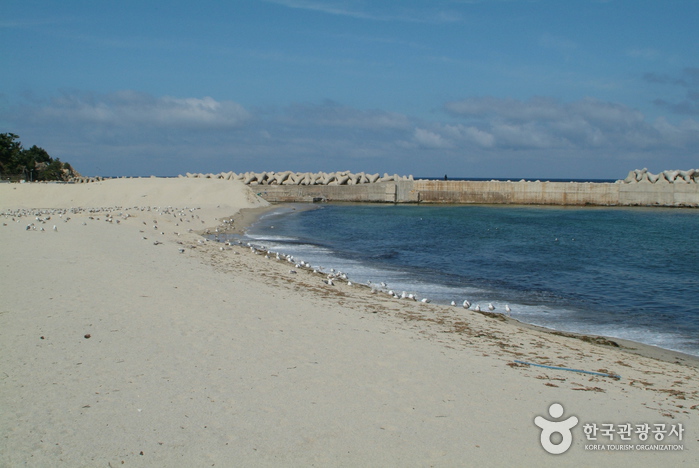 신남해변 신남해변
