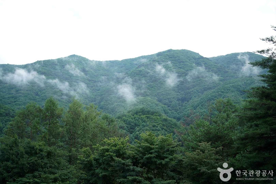 仙達山(寧越)