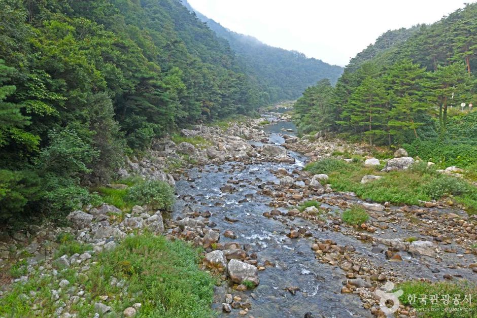 秋台渓谷