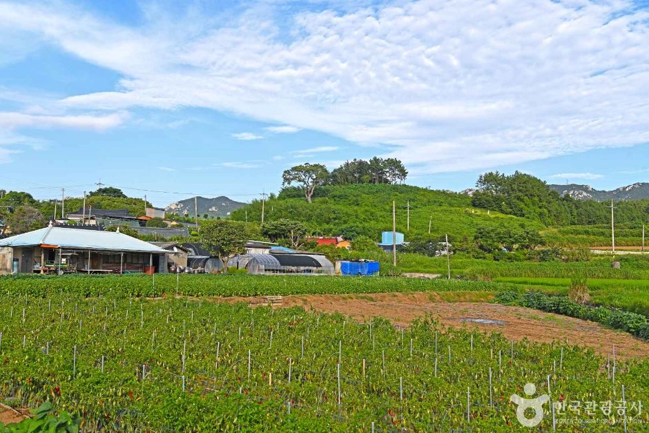 Daejuk Village