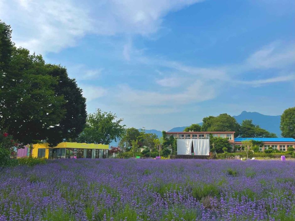 居昌嘉南村