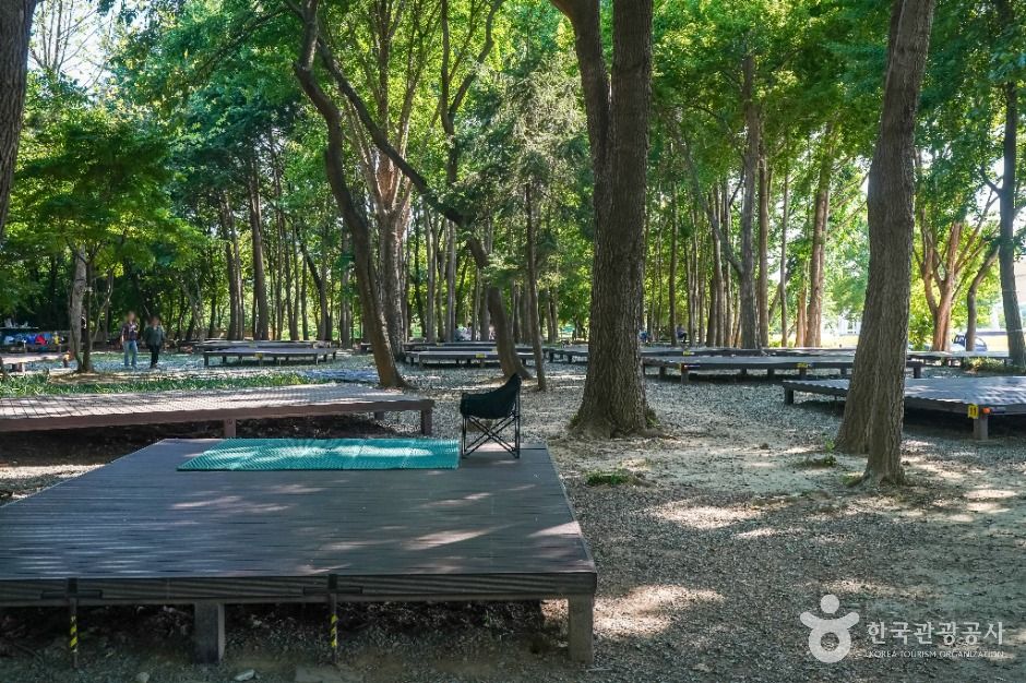 沙门津野餐场