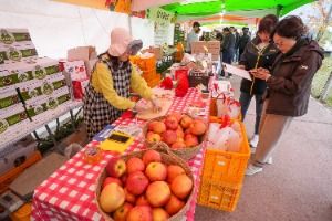 2025 청춘양구 펀치볼 시래기사과축제 9