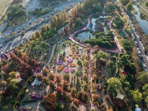 2025 유성국화축제 5