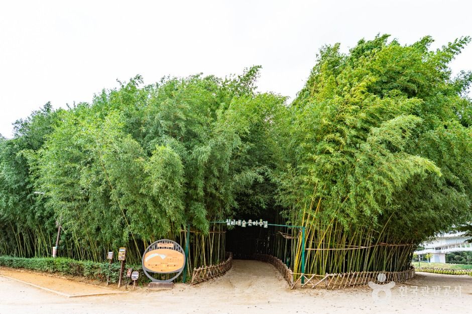 The Taehwagang National Garden and Simni Bamboo Grove (Milky Way Trail)
