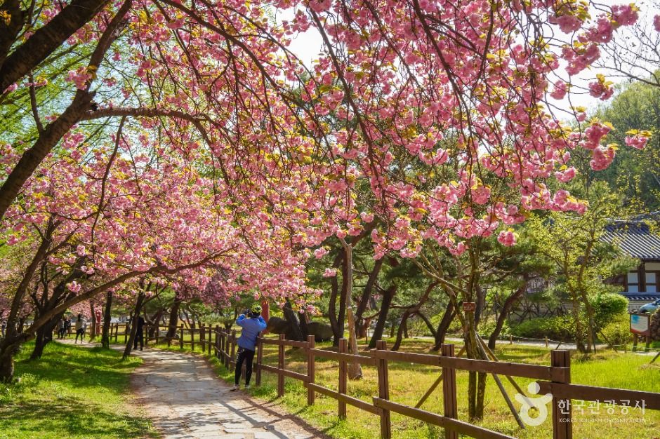 금오산도립공원