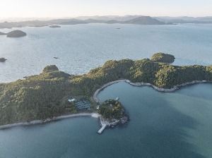 진지도
