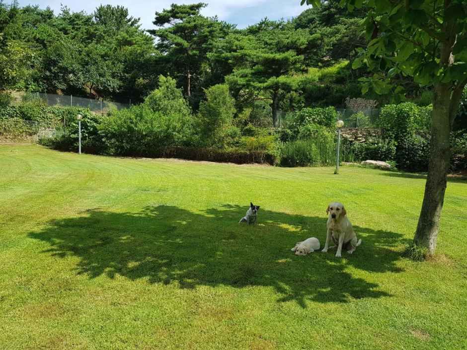 서산_돌꽃펜션_내외부 (5).jpg