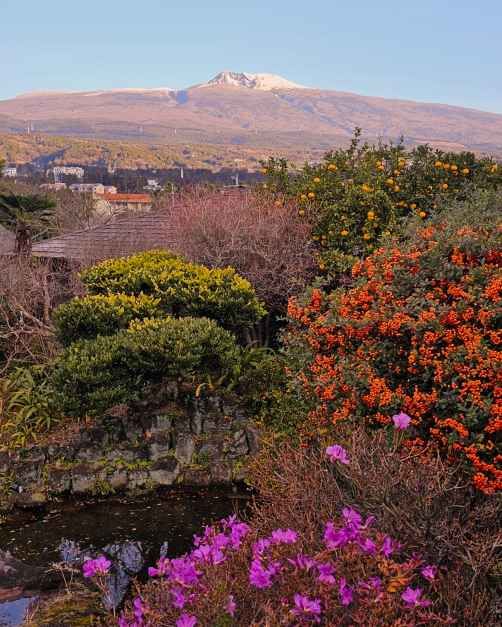 제주_숨도 (2).JPG