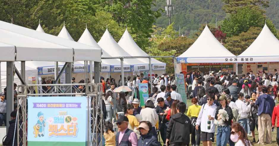 임실N펫스타 - 전북 축제