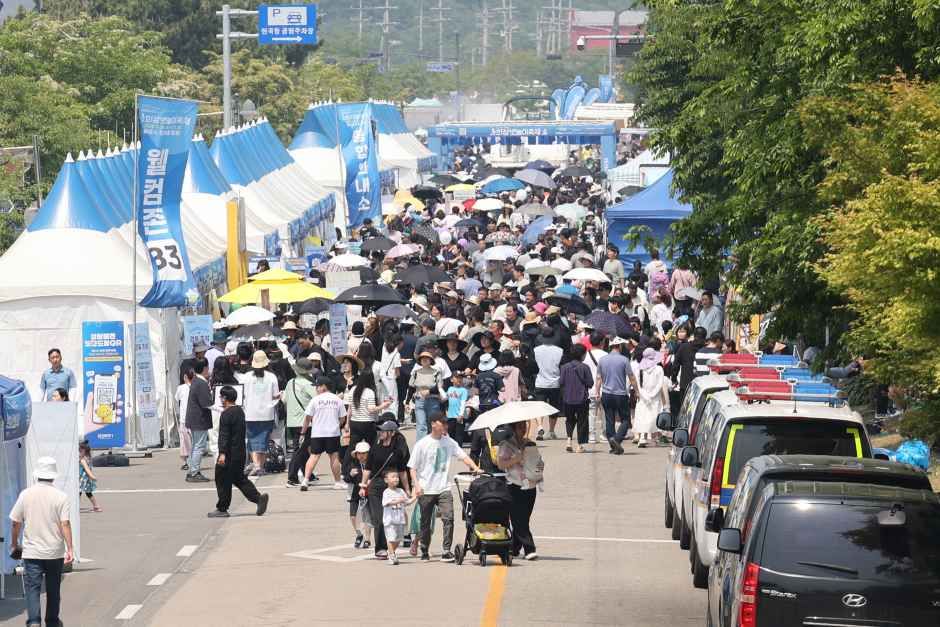 화성 뱃놀이 축제