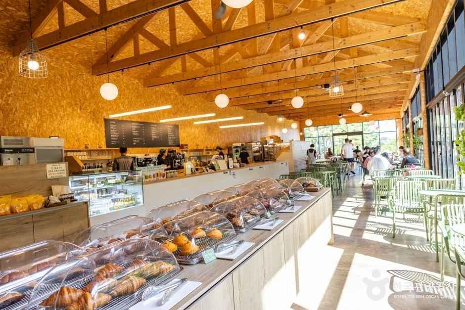 제주_이끼숲소길 (4).jpg