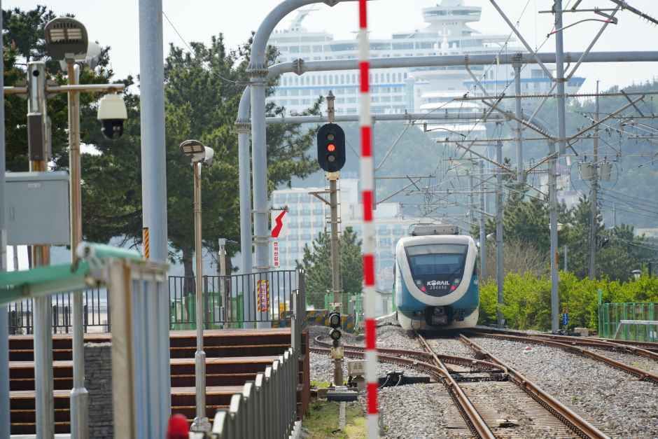 正東津を出発した江陵発東大邱行きヌリロ1854号