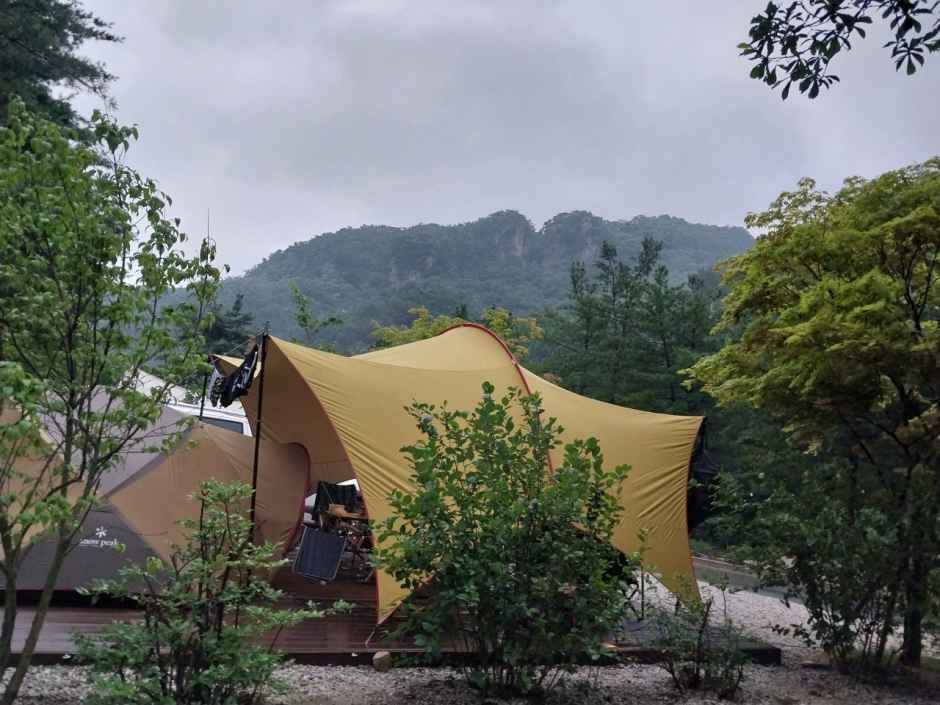 Sanjeong Lake Dolphin Campground