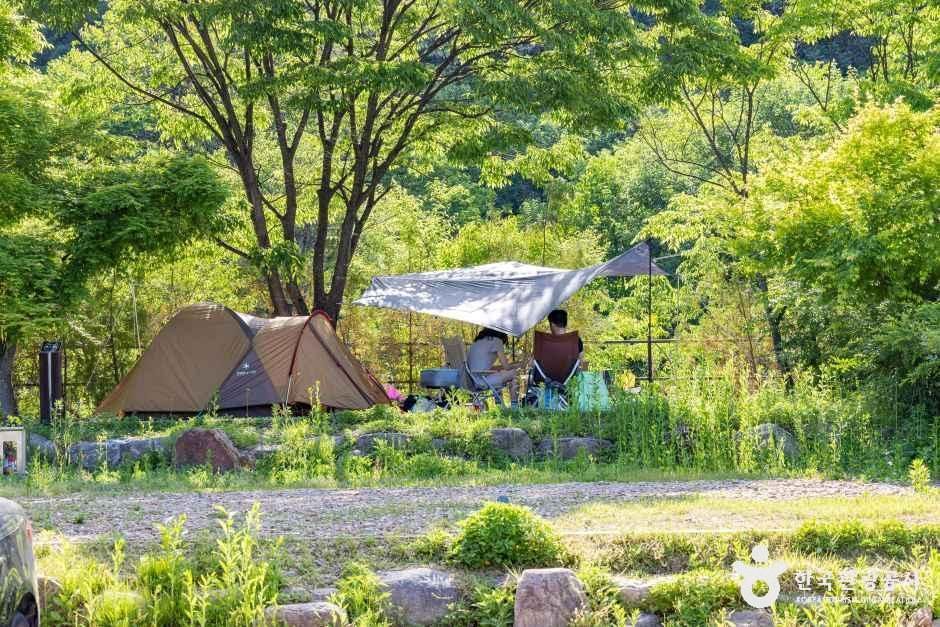 월악산국립공원 송계야영장