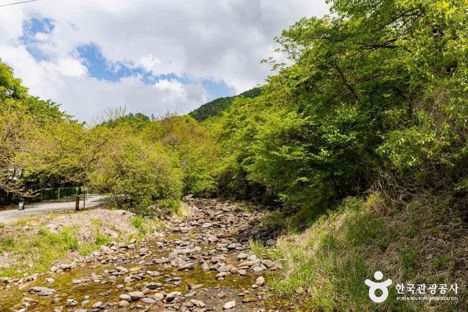 달재오토캠핑장