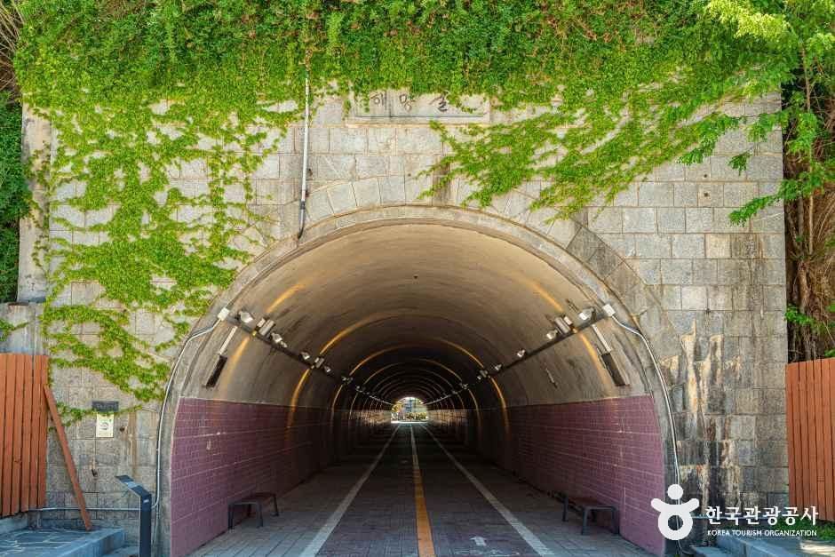 군산 해망굴 - 전북특별자치도 군산시 군산창2길 48 관광 명소